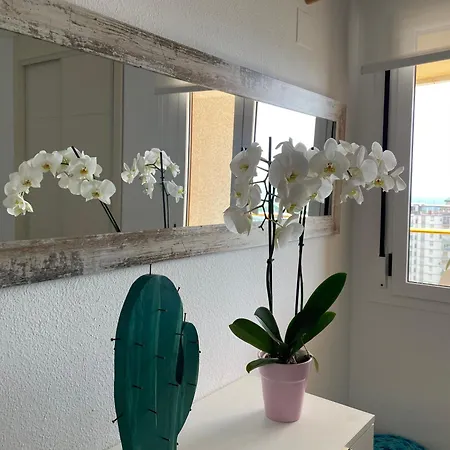 Apto One Day In Ambar Apartment Calpe